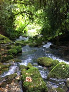 Water exiting from Trou Madame Cave in Lot France