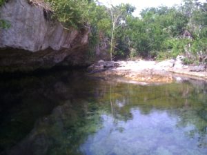 Cenote with Crocodile