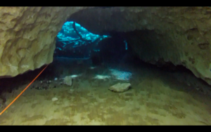 Orange Grove Sink Underwater