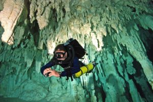 Cenote Pet Cemetery