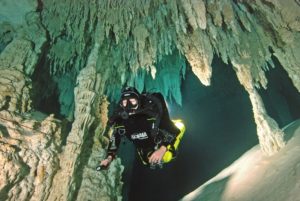 Cenote Pet Cemetery